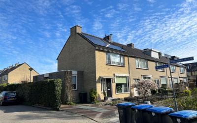 Boterbloem 10