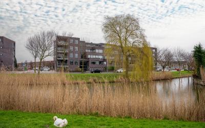Zuidersingel 16