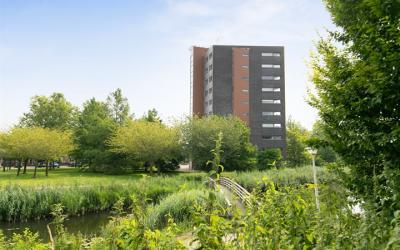 Randmeer 16