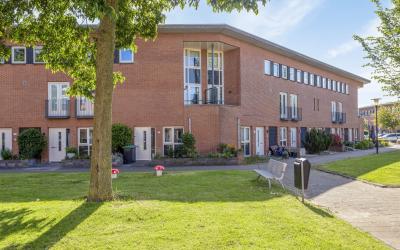Essenwede 50