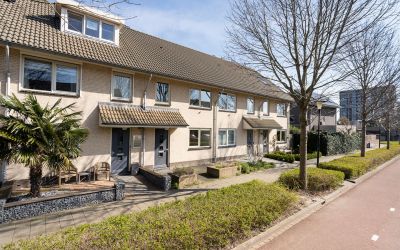 Ebbenhout 10