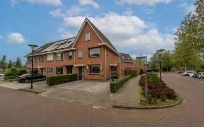 Rozenhout 1