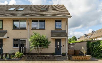 Sandelhout 1