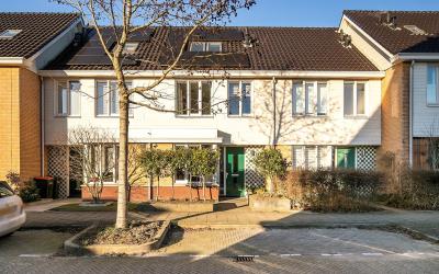 Grote Kreek. 20