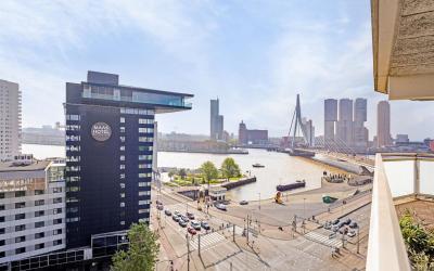 Vasteland 243
