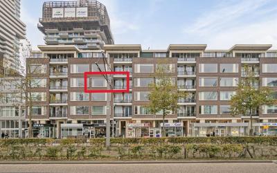 Schiedamsed. 65-D