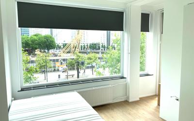 Schiedamsed. 80-C