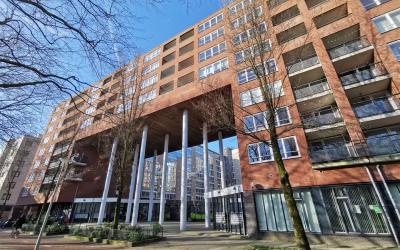 Kipstraat 31-N