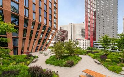 Wijnhaven 65-B29
