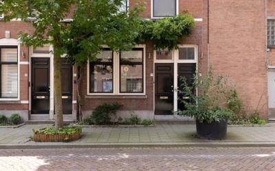 Zijdewindes. 19-A