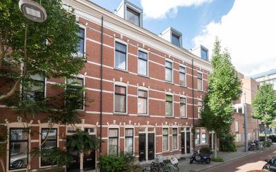 Zijdewindes. 23-A
