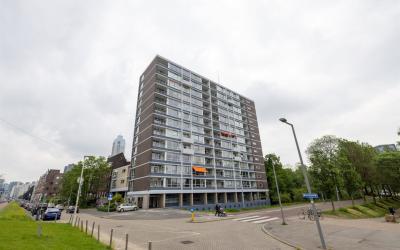 Westzeedijk 240