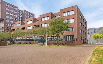 Sint-Jobska. 236