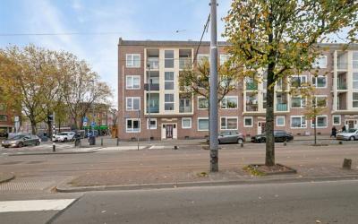 Schiedamsew. 182-C