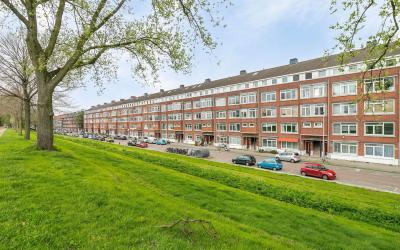 Schiedamsew. 481-B
