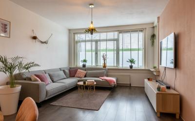 Schiedamsew. 499-A