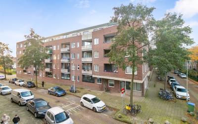 Ruivenplant. 72