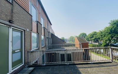 Kleinpolder. 60