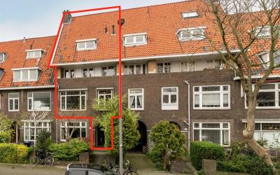 Zonnebloems. 21-B