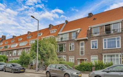 Zonnebloems. 39-C