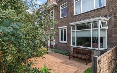 Zonnebloems. 45-A