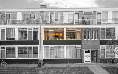 Zonnebloems. 44-B
