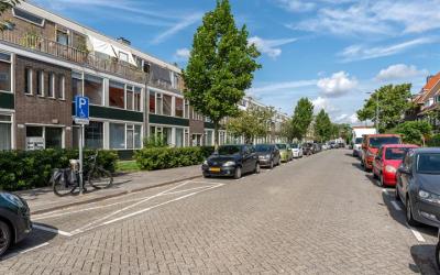 Zonnebloems. 46-B