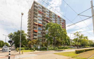 Wilgenplasl. 296