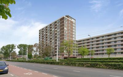 Wilgenplaslaan 314