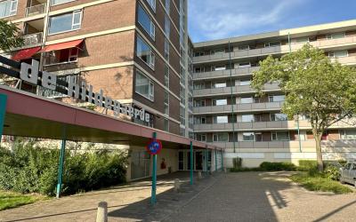 Wilgenplasl. 356