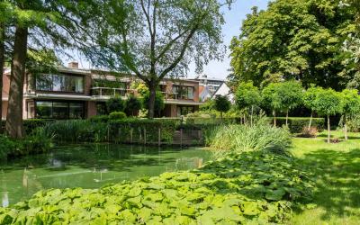 Park Bijdorp 41