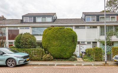 Leeuwerikla. 41