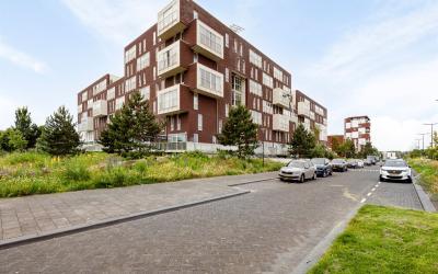 Brandingdijk 368