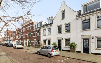 Catharinast. 36