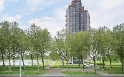 Ien Daleshof 51