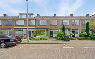Stuivingast. 24