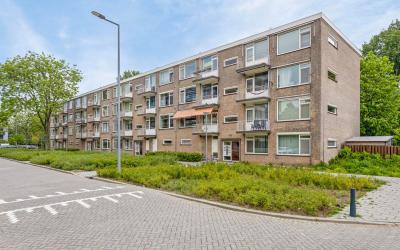 Godijn van. 15