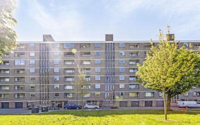 Edmond Hell. 38
