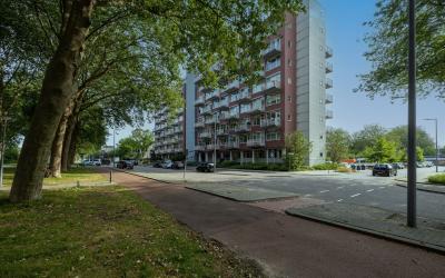 Koningslaan 206