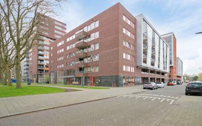 Koningslaan 239