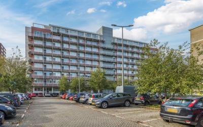 Koningslaan 304