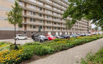 Everaertstr. 205