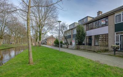 Boterbloem 14