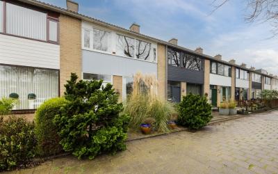 Lentebloem 13