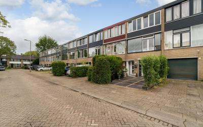 Paardebloem 5
