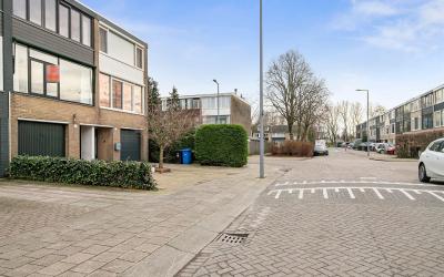 Passiebloem 38
