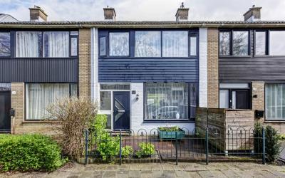 Passiebloem 46