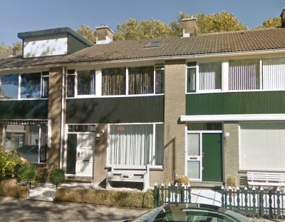 Trompetbloem 15