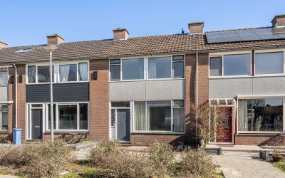 Blauwgras 31