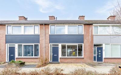 Blauwgras 47